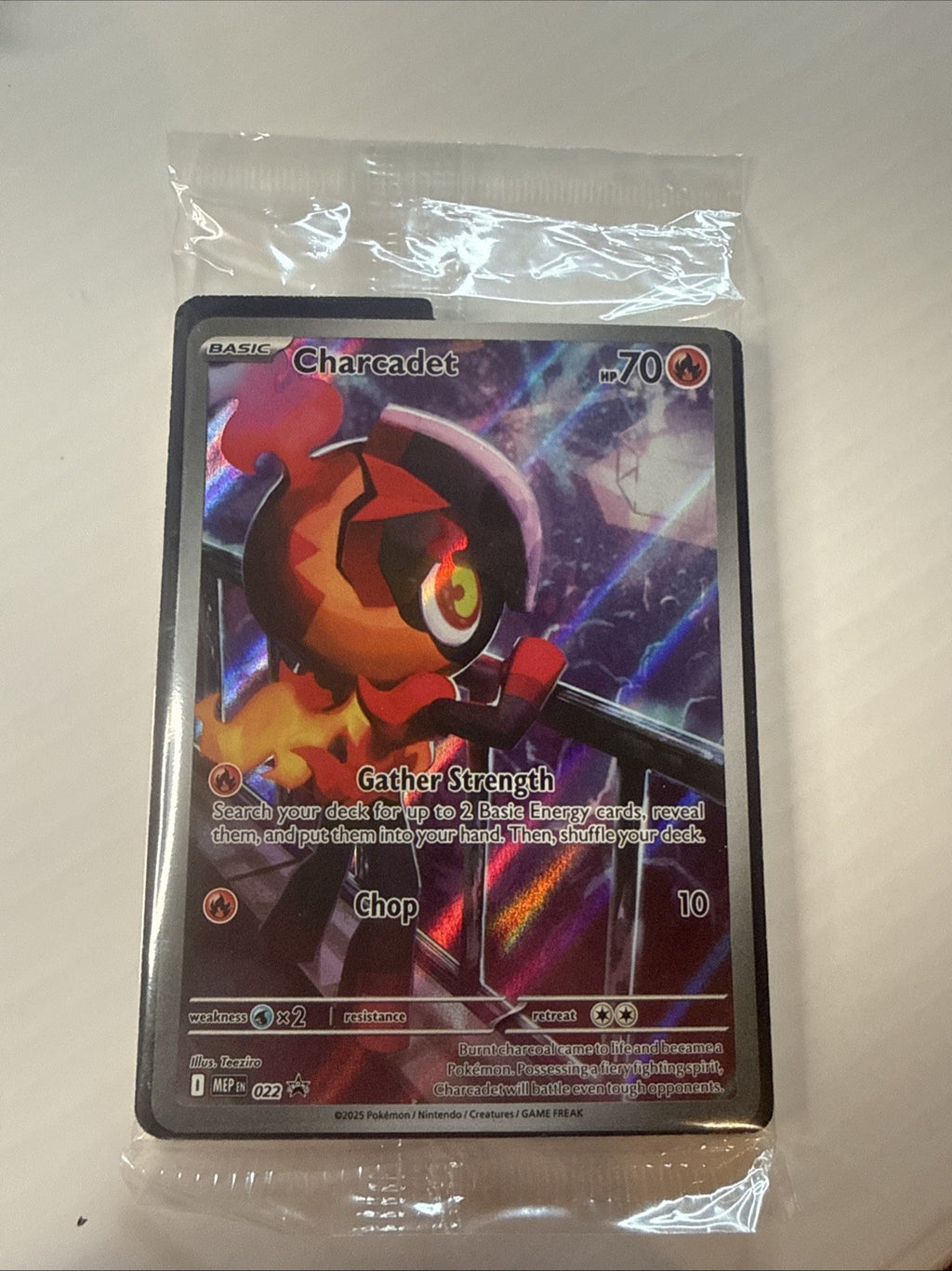Charcadet 022 Pokemon Phantasmal Flames ETB SEALED NM
